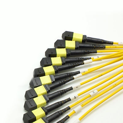 Cable MPO Fanout a bassa perdita Core di grande quantità 1M 144F SMG657A1 MPO APC a MPO APC Breakout Fiber Optic Patch Cord