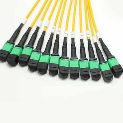 Cable MPO Fanout a bassa perdita Core di grande quantità 1M 144F SMG657A1 MPO APC a MPO APC Breakout Fiber Optic Patch Cord