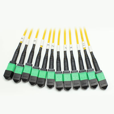 Cable MPO Fanout a bassa perdita Core di grande quantità 1M 144F SMG657A1 MPO APC a MPO APC Breakout Fiber Optic Patch Cord