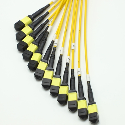 144F MTP MPO Fanout Cable SMG657A1 MPO APC a MPO APC Breakout Fiber Optic Patch Cord