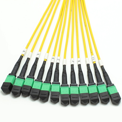 144F MTP MPO Fanout Cable SMG657A1 MPO APC a MPO APC Breakout Fiber Optic Patch Cord